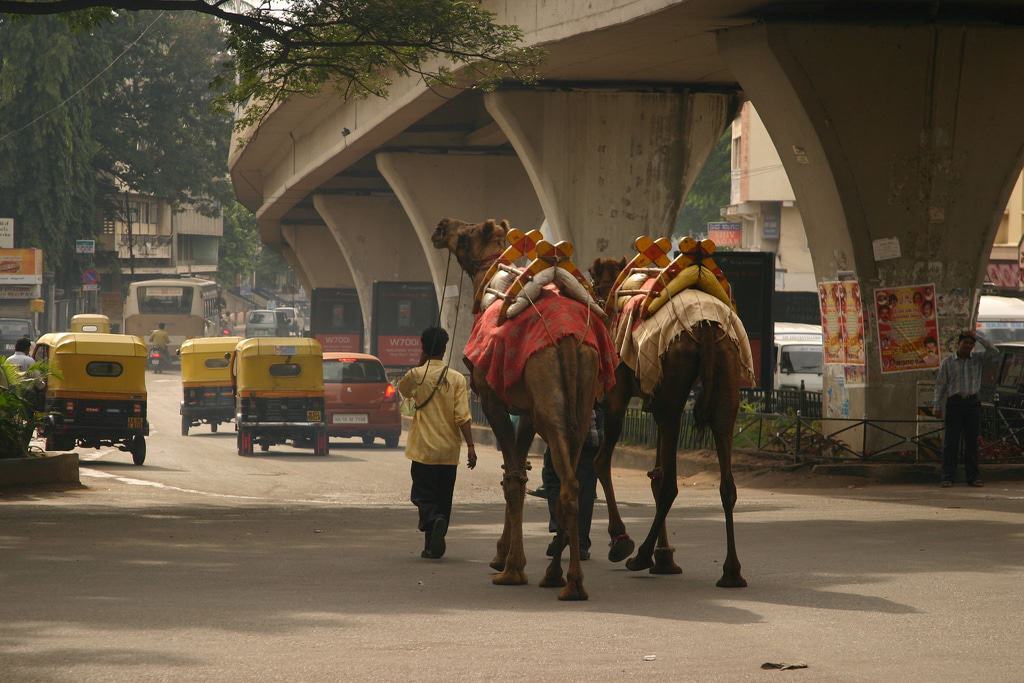 Bangalore