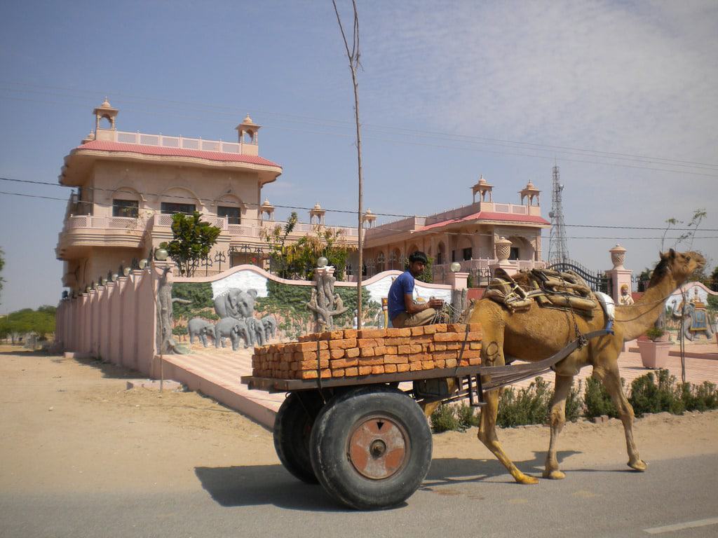 Bikaner