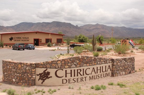 Museo del Desierto de Chiricahua