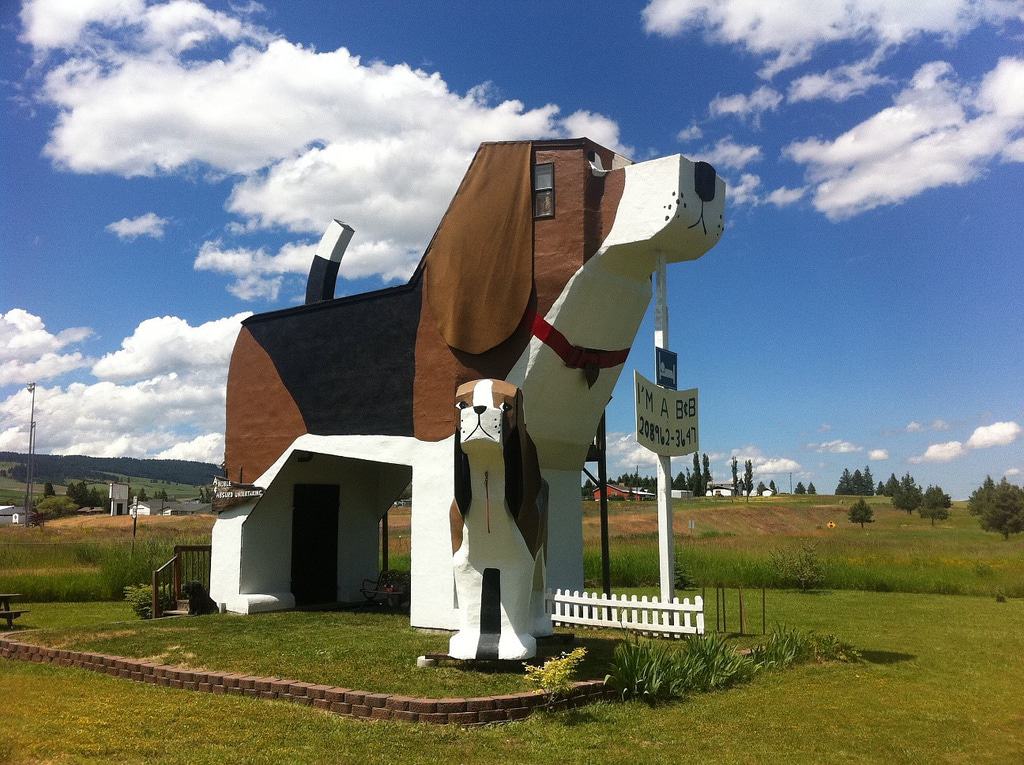 Perro Bark Park Inn