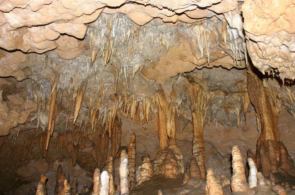 Parque estatal de las cavernas de Florida