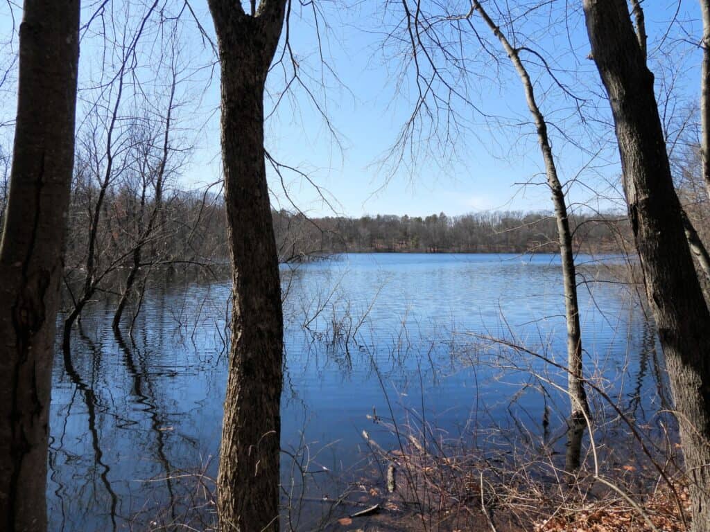 Área de conservación del estanque Gammino