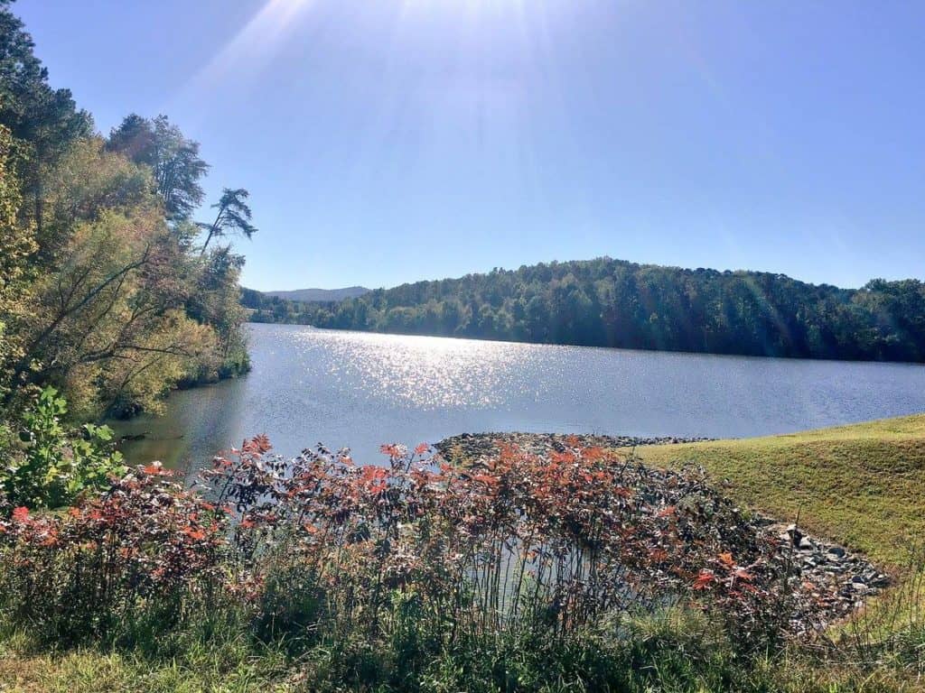 Parque del lago Haig Mill