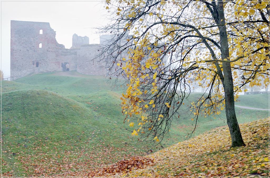 Castillo de la Orden de Livonia. Bauska, Letonia