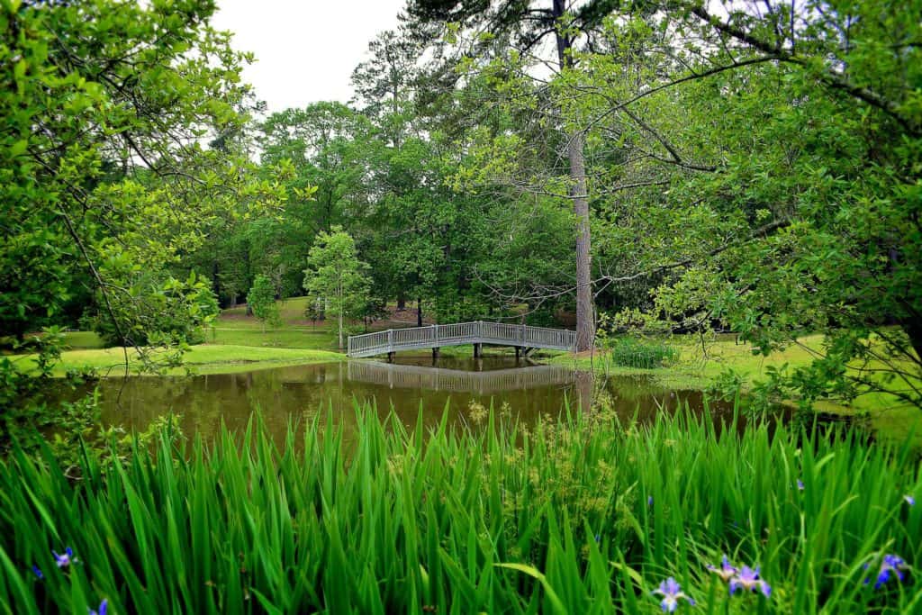 Arboreto de Lockerly