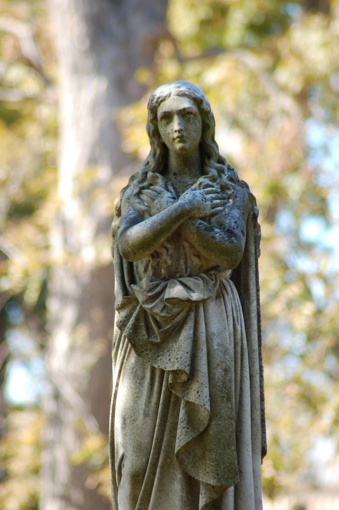 cementerio de magnolias