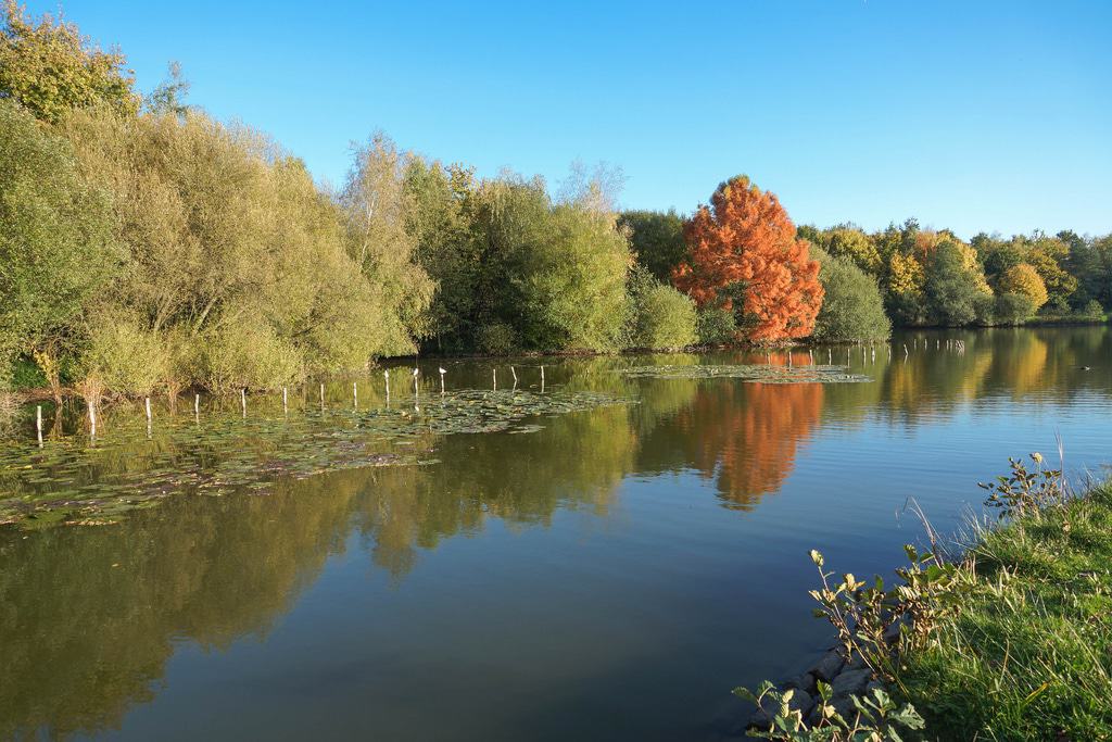 Parque des Gayeulles