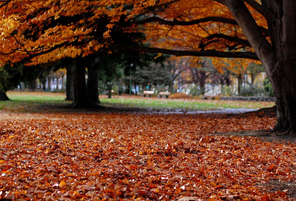 Parque Pablo Mistral