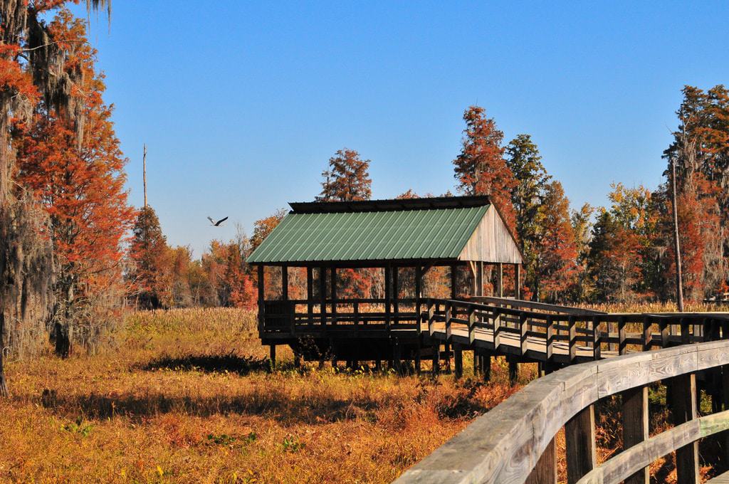 Parque natural del pantano de Phinizy