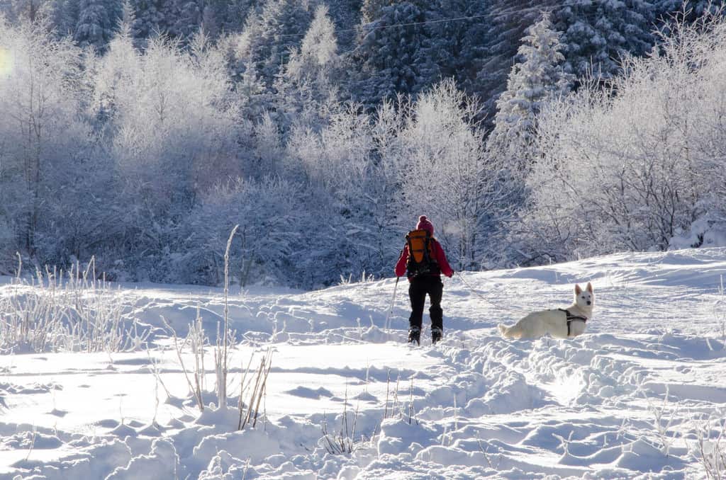 Deporte de invierno