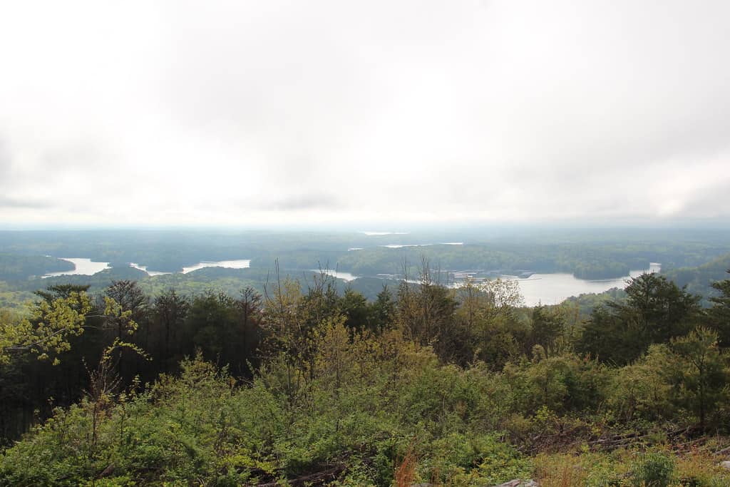 Pine Mountain vista del lago Allatoona