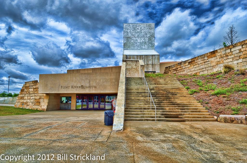 Flint RiverQuarium