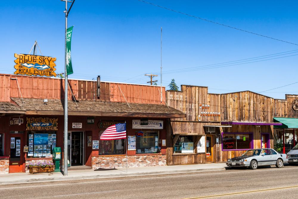 Pino solitario, California