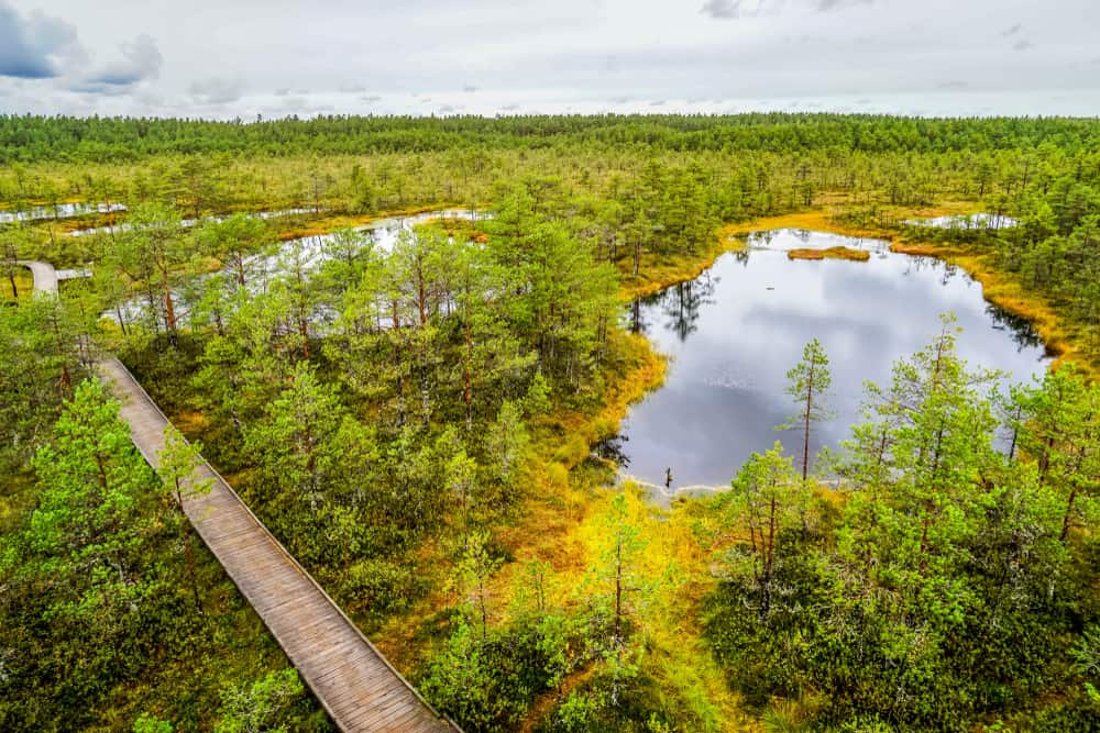 Parque Nacional Lahemaa