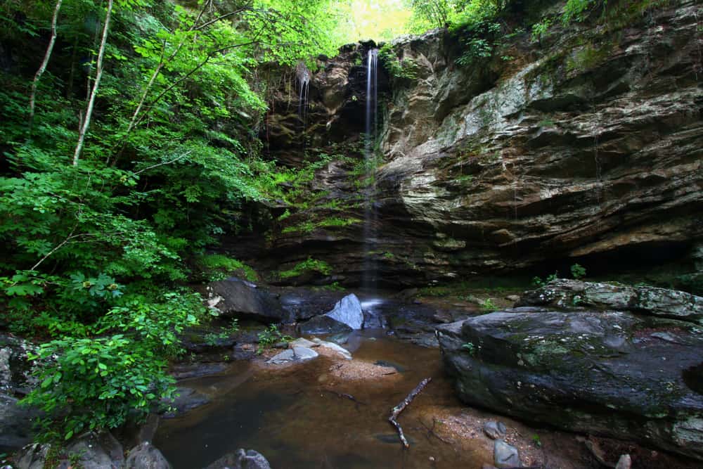 Bosque Nacional Talladega