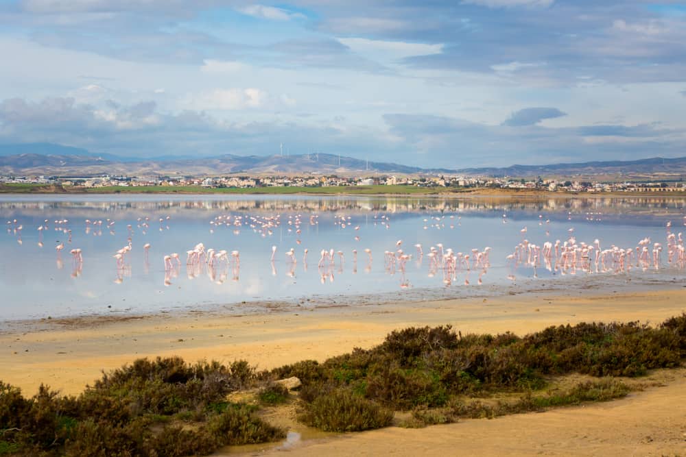 Lago salado de Akrotiri