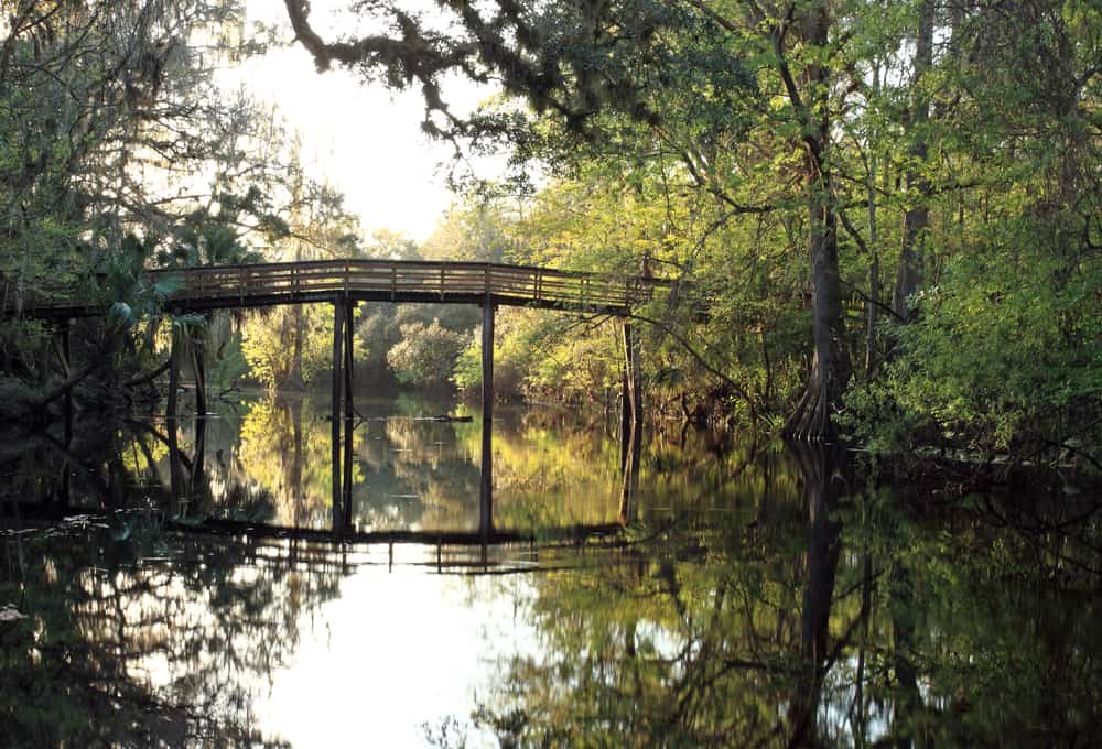 Parque estatal del río Hillsborough