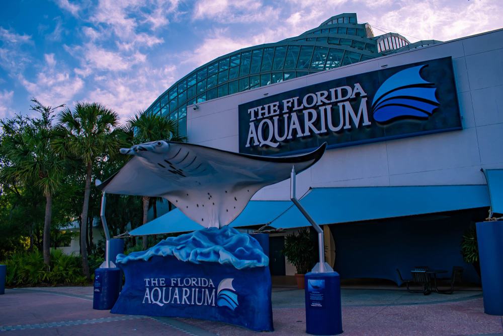 Acuario de Florida, Tampa