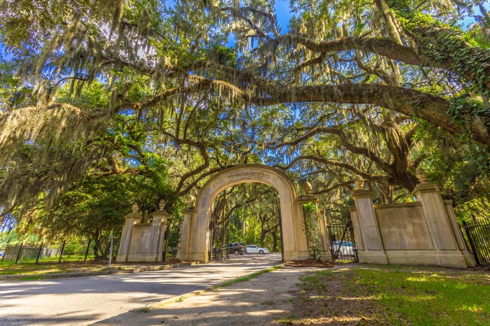 Sitio histórico de Wormsloe