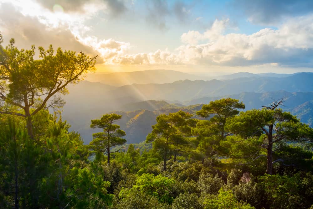 Montañas de Troodos