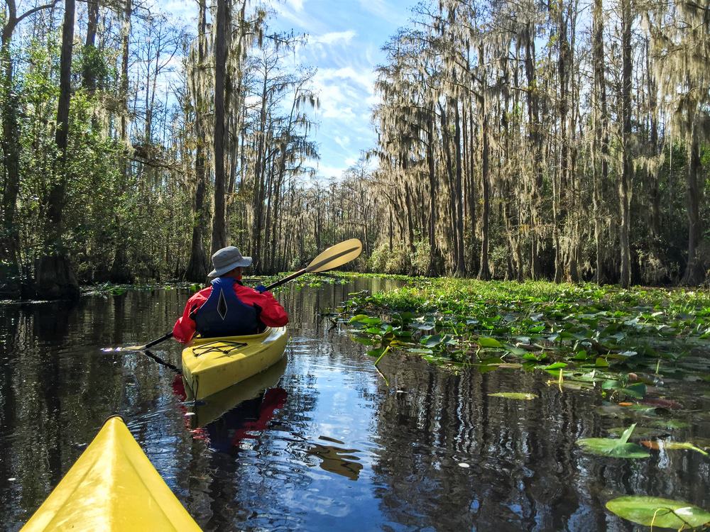 Refugio Nacional de Vida Silvestre Okefenokee