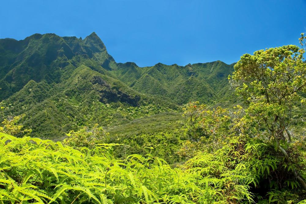 Monumento estatal del valle de Iao