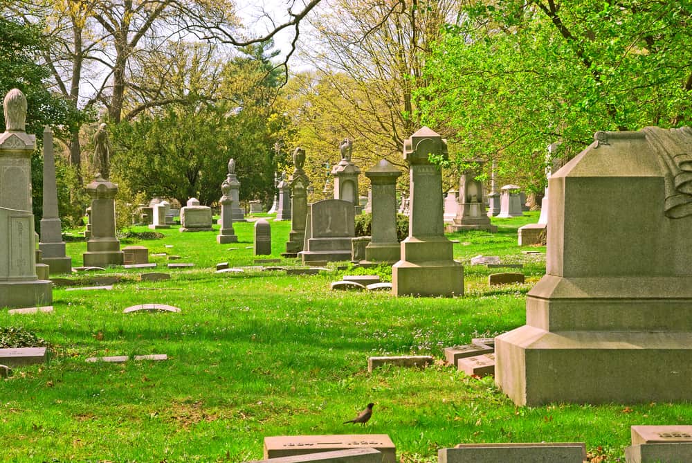 Cementerio de la arboleda de la primavera