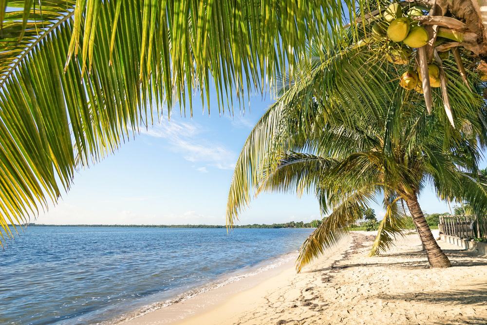 Playa Larga, Cuba