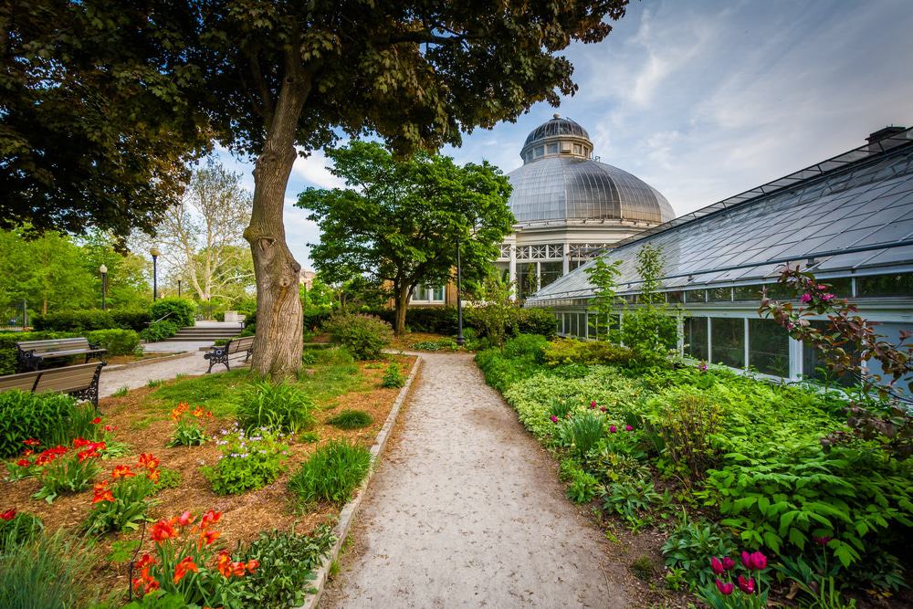 distrito jardín, toronto