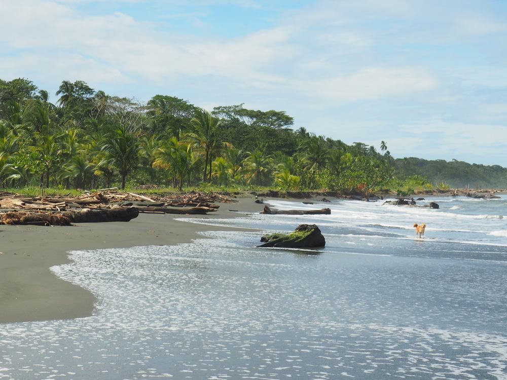 Cahuita, Costa Rica