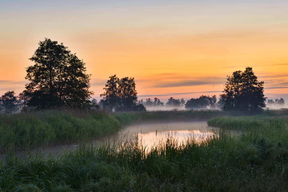 Parque Nacional Matsalu