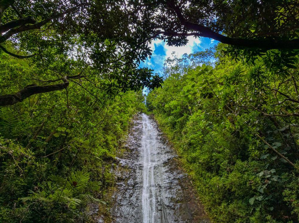 Cataratas de Manoa, Oahu, Hawái