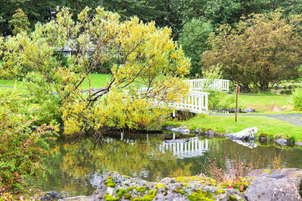 Jardín Botánico Laugardalur