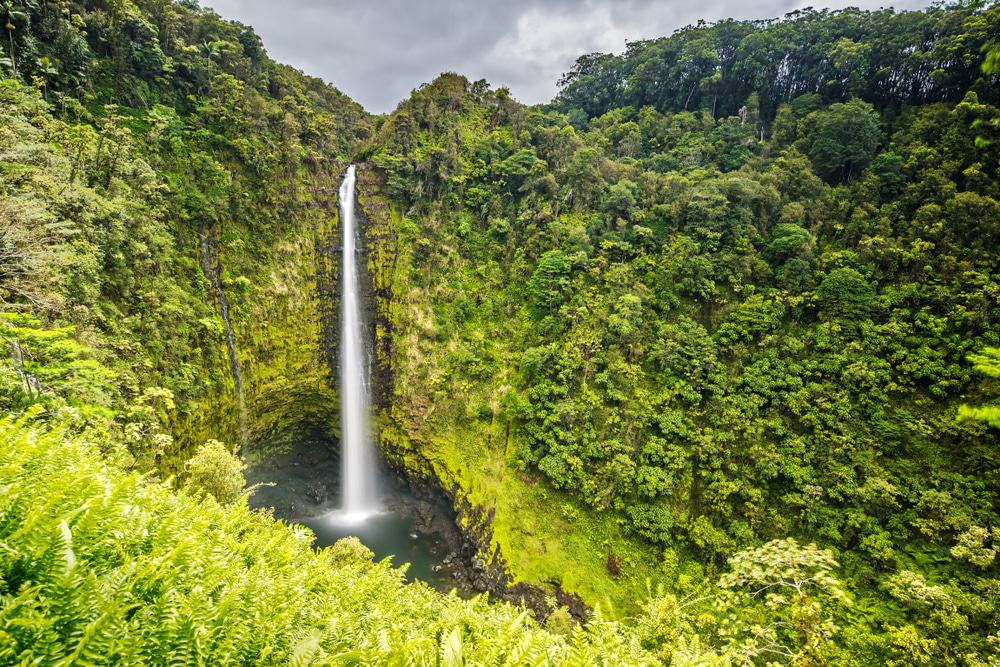 Recorrido de día completo de 120 millas por Oahu, incluida la plantación Dole