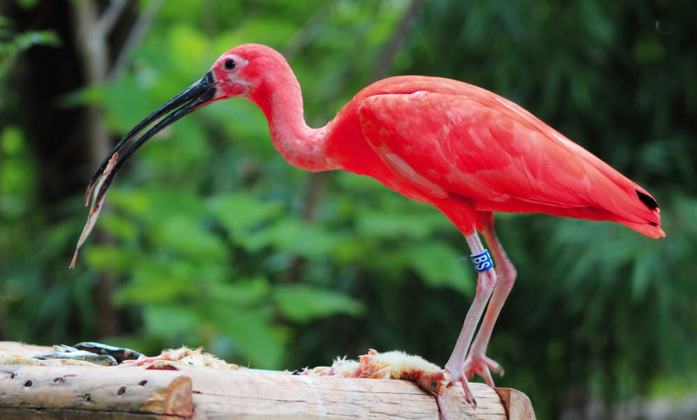 Parque Zoológico