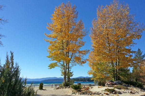Resort Tahoe Sands