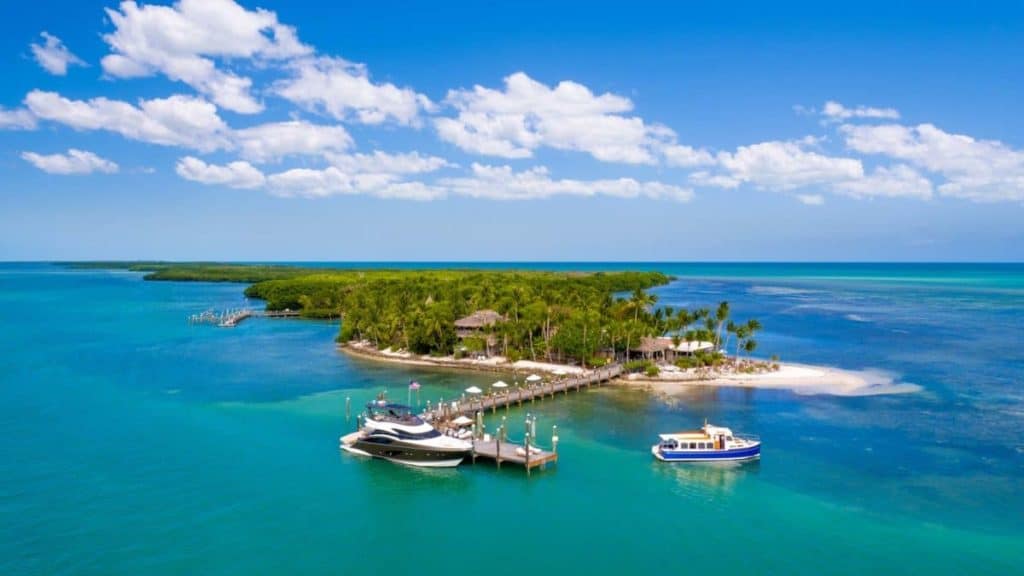 pequeña isla de palmeras