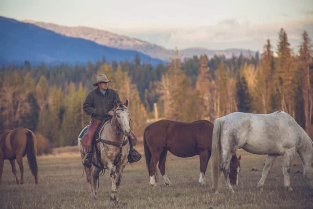 Rancho de huéspedes Western Pleasure