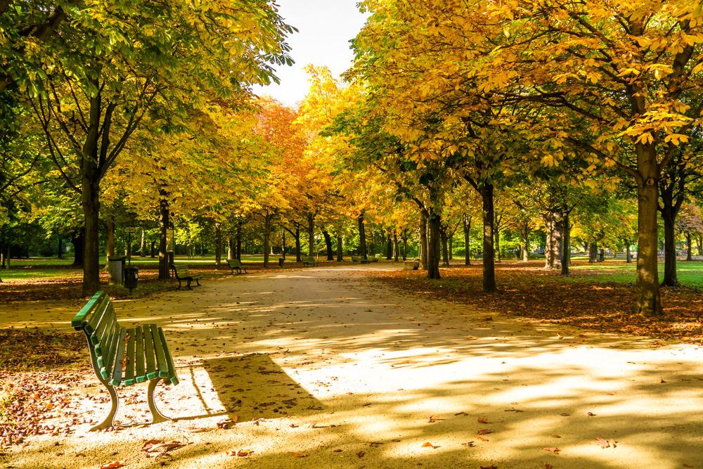 Tiergarten, Berlín