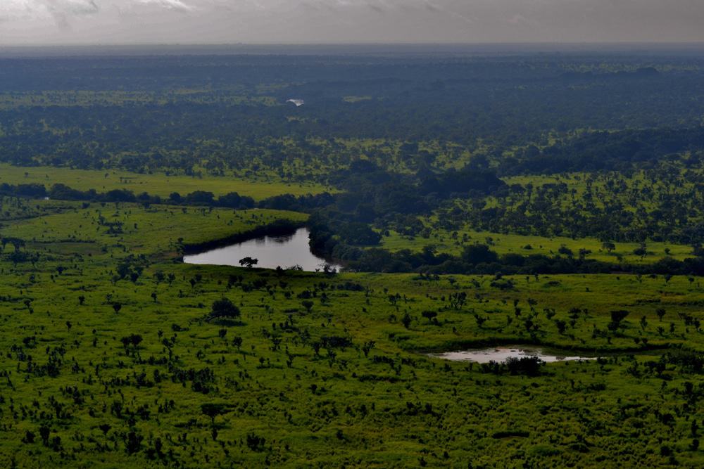 Parque Nacional Garamba