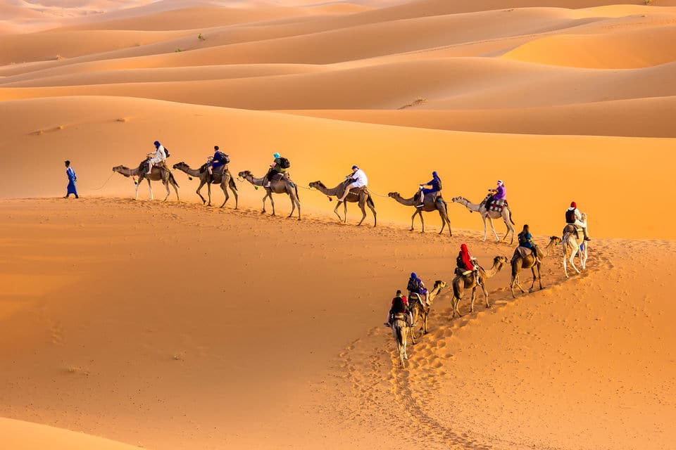 Caminata en camello por el desierto del Sahara de 2 días