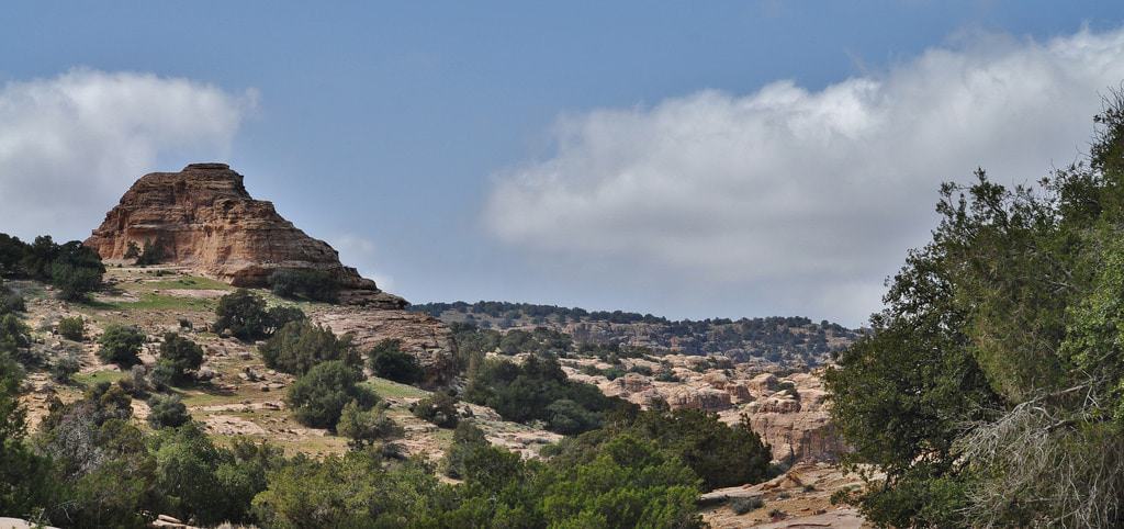 Reserva natural de Dana