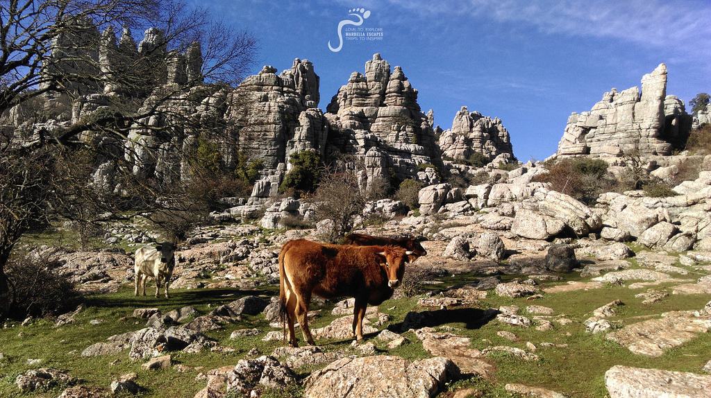 Parque Natural del Torcal