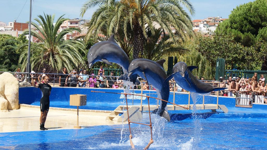 Marineland Cataluña