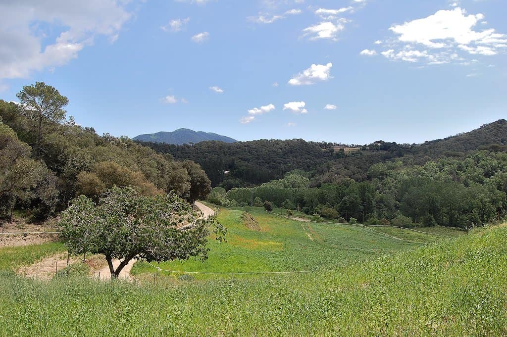 Parque del Montnegre y el Corredor