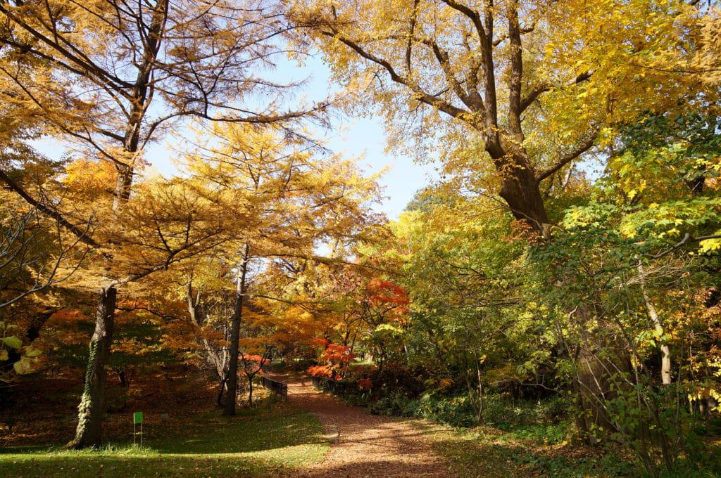 Jardín Botánico de la Universidad de Hokkaido