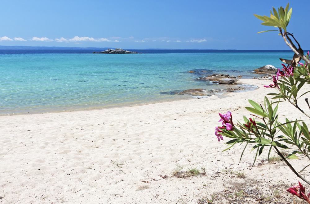 Playa de Kalogria, Halkidiki