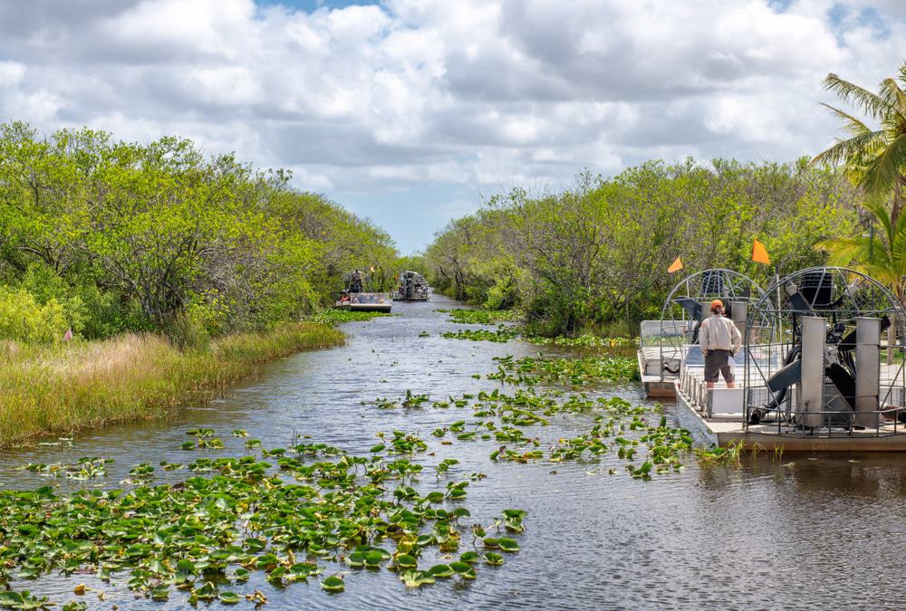 Everglades de Florida