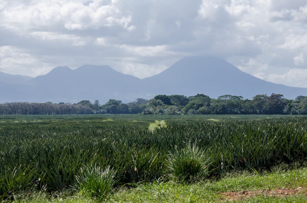 Volcán Chato