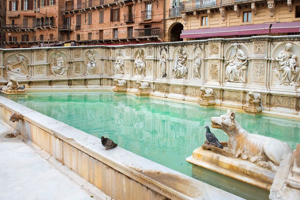 Fuente Gaia, Siena